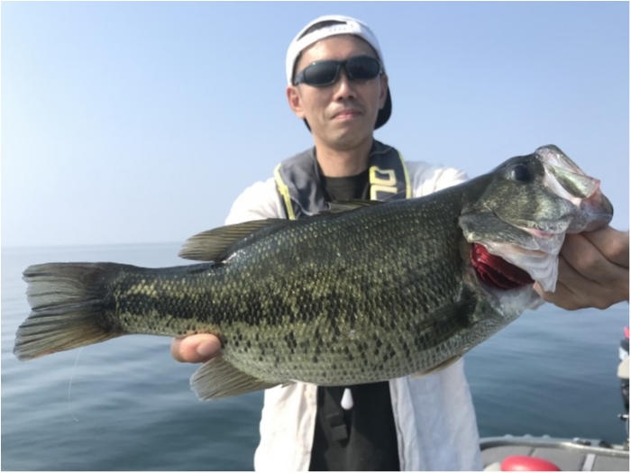 truth  ブログ写真 2019/08/02