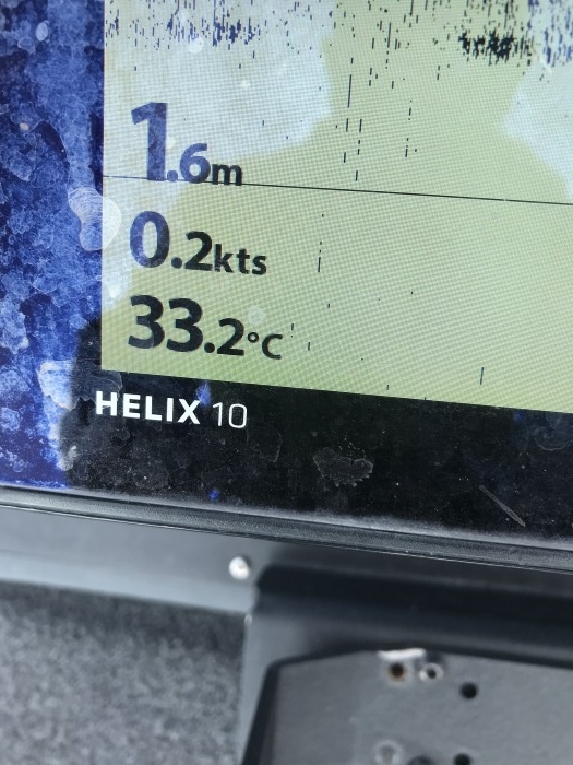 truth  ブログ写真 2019/08/02