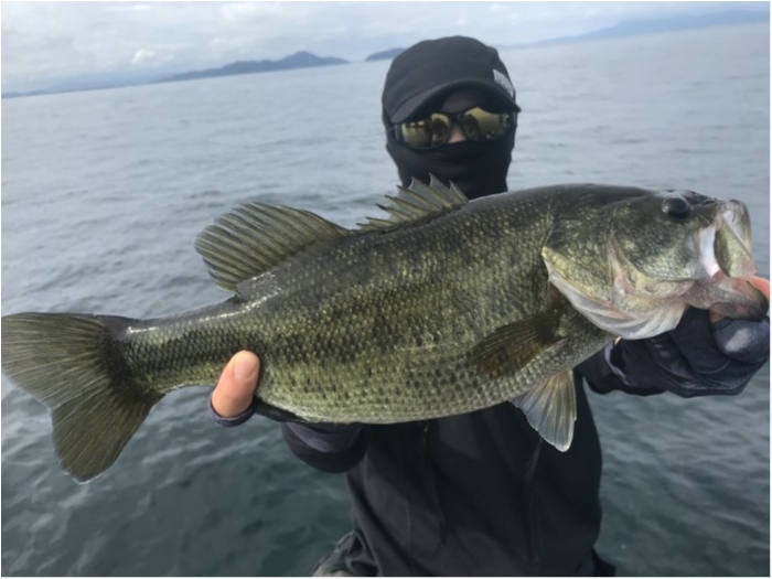 truth  ブログ写真 2019/08/06