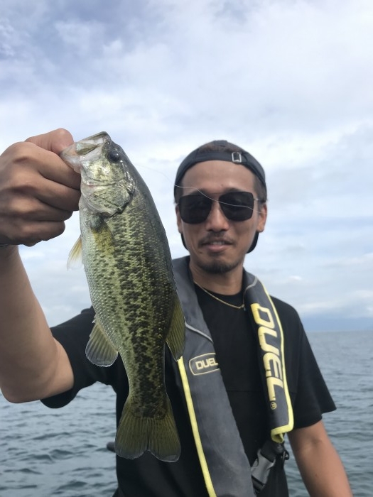 truth  ブログ写真 2019/08/06