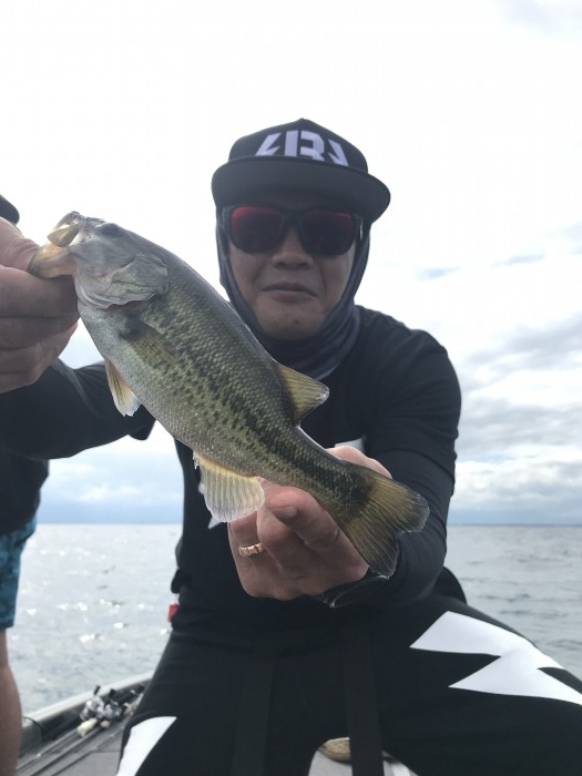 truth  ブログ写真 2019/08/06