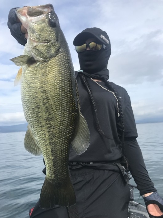 truth  ブログ写真 2019/08/06