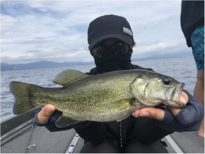 truth  ブログ写真 2019/08/06