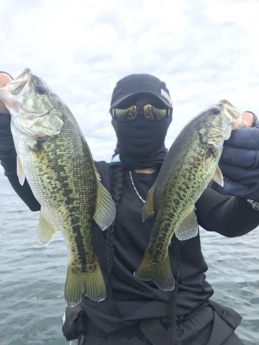 truth  ブログ写真 2019/08/06