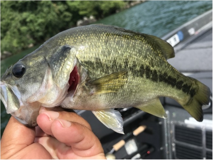 truth  ブログ写真 2019/08/06