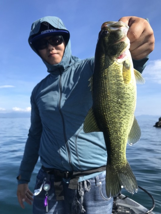 truth  ブログ写真 2019/08/07