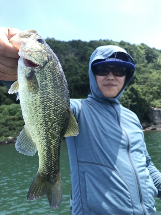 truth  ブログ写真 2019/08/07