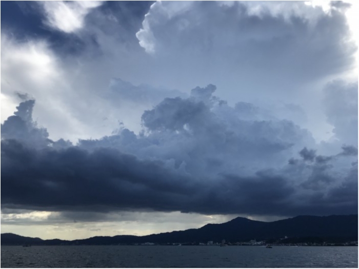 truth  ブログ写真 2019/08/07