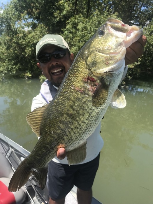 truth  ブログ写真 2019/08/08