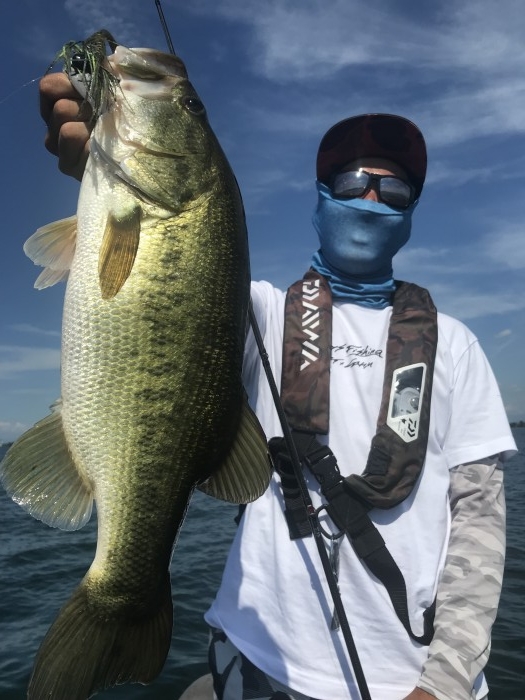 truth  ブログ写真 2019/08/08