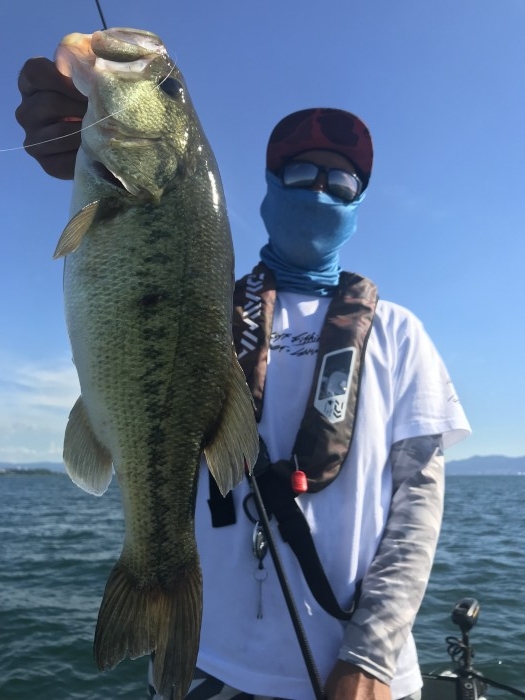 truth  ブログ写真 2019/08/08