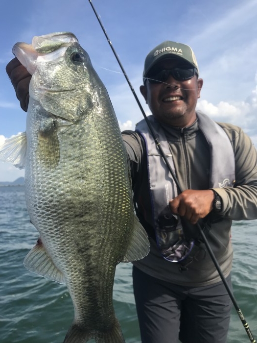 truth  ブログ写真 2019/08/09