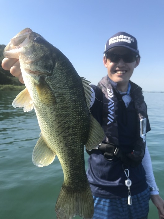 truth  ブログ写真 2019/08/10