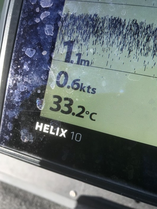 truth  ブログ写真 2019/08/11