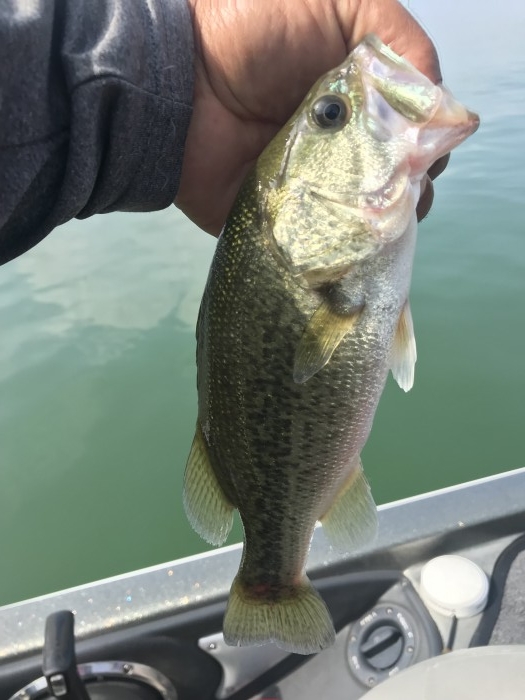 truth  ブログ写真 2019/08/21