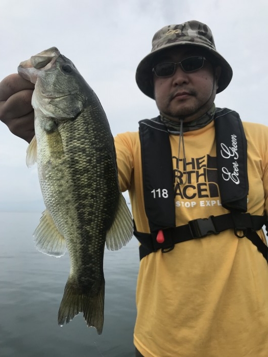 truth  ブログ写真 2019/08/22