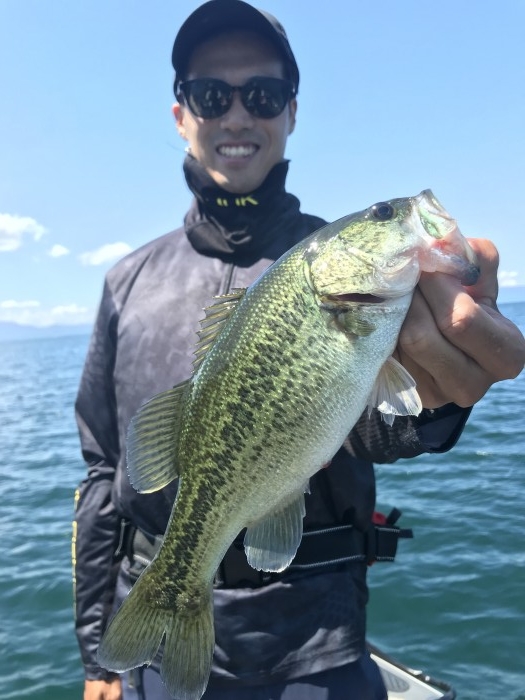 truth  ブログ写真 2019/08/26