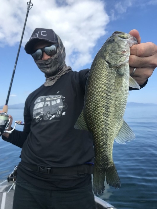 truth  ブログ写真 2019/09/14