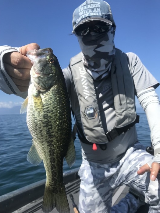 truth  ブログ写真 2019/09/15