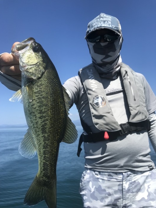 truth  ブログ写真 2019/09/15