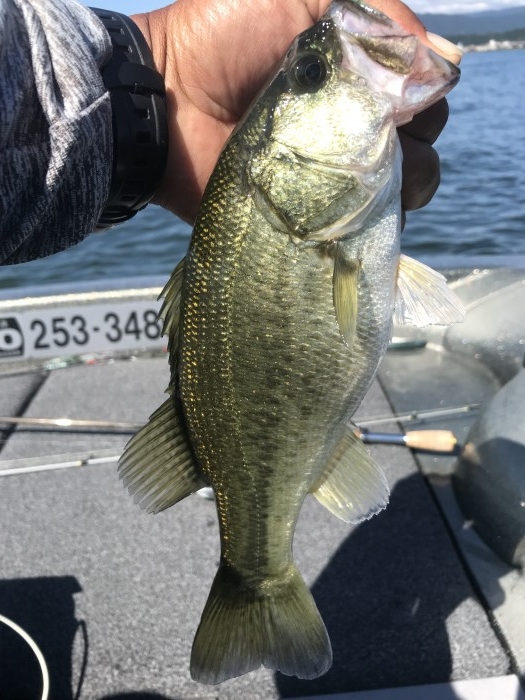 truth  ブログ写真 2019/09/17