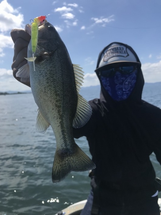 truth  ブログ写真 2019/09/17