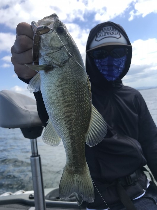 truth  ブログ写真 2019/09/17