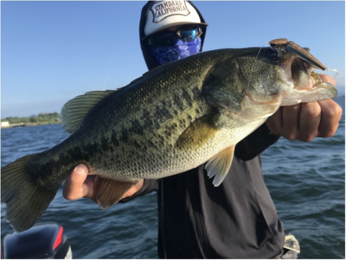 truth  ブログ写真 2019/09/17