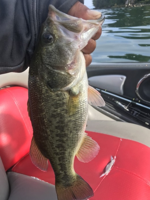 truth  ブログ写真 2019/09/20