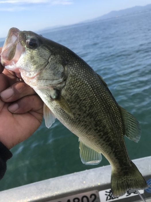 truth  ブログ写真 2019/09/20