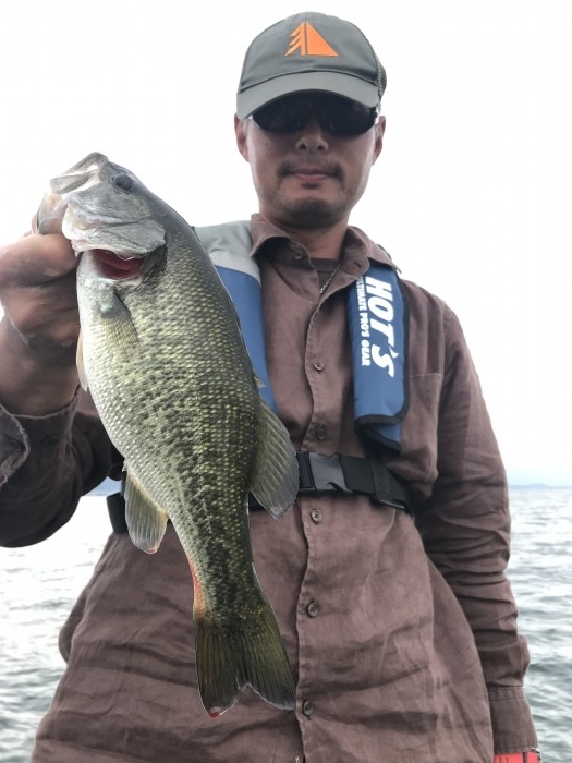 truth  ブログ写真 2019/09/20