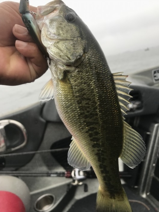 truth  ブログ写真 2019/09/21