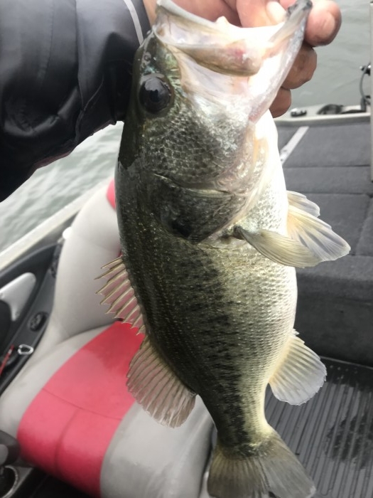 truth  ブログ写真 2019/09/21