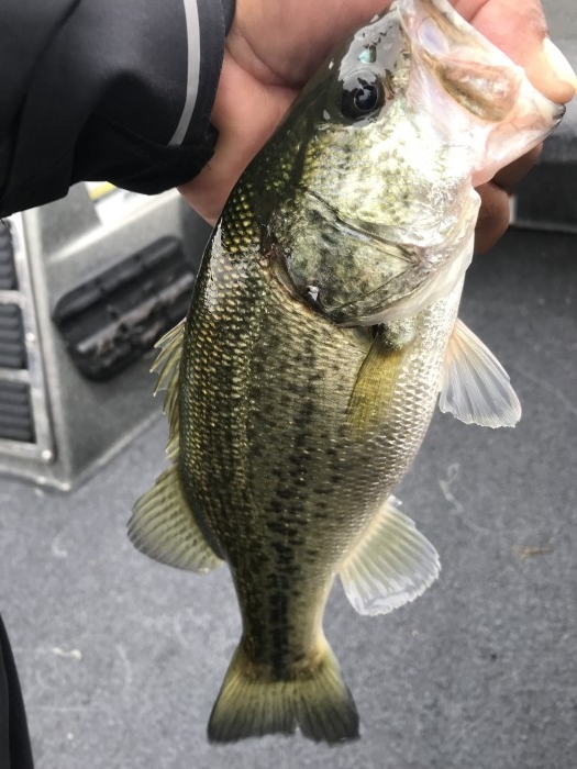 truth  ブログ写真 2019/09/21