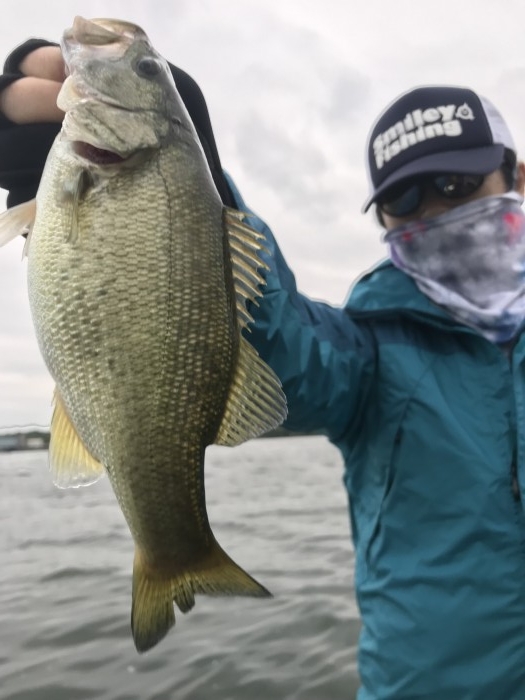 truth  ブログ写真 2019/09/21