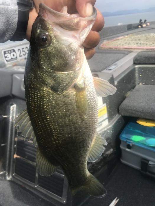 truth  ブログ写真 2019/09/22