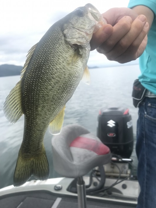 truth  ブログ写真 2019/09/22