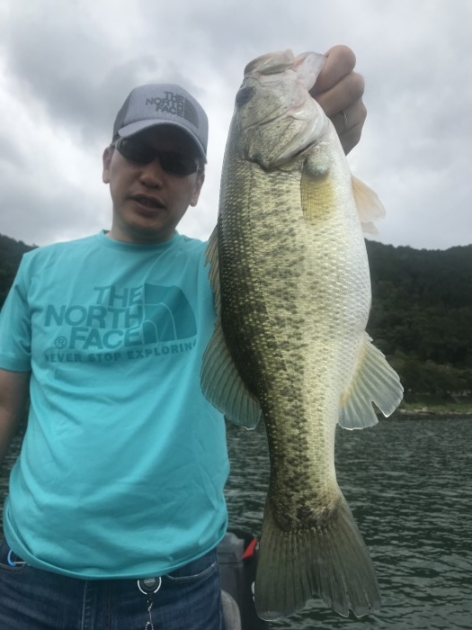 truth  ブログ写真 2019/09/22