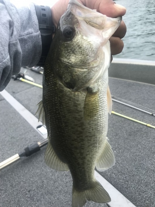 truth  ブログ写真 2019/09/22