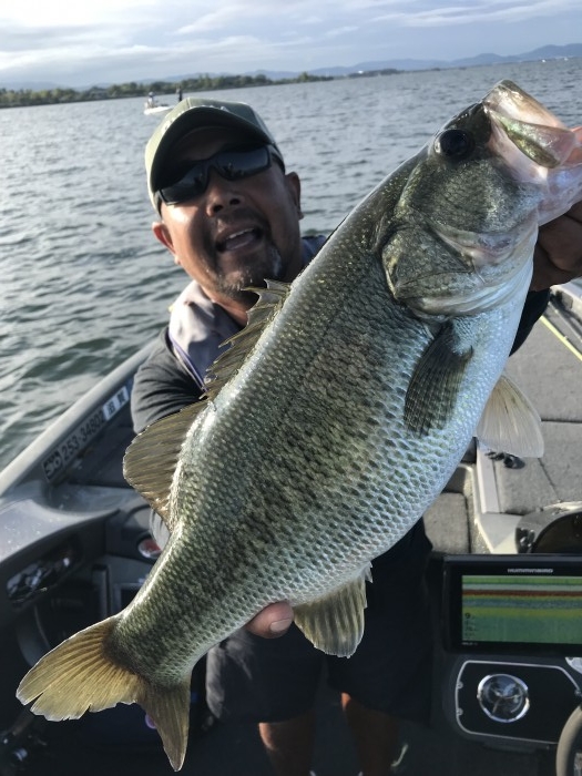 truth  ブログ写真 2019/09/24