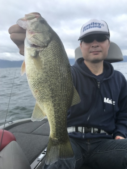 truth  ブログ写真 2019/09/24