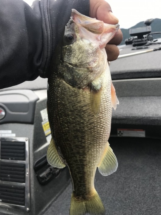 truth  ブログ写真 2019/09/24