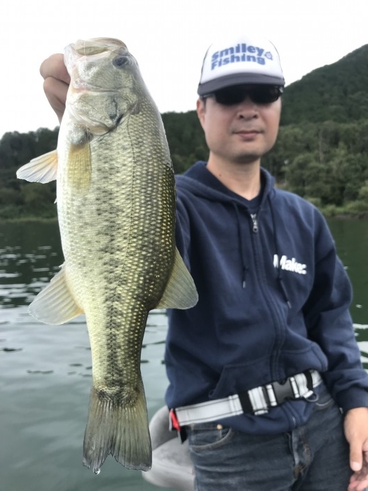 truth  ブログ写真 2019/09/24