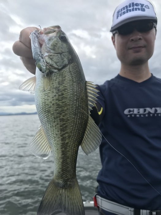 truth  ブログ写真 2019/09/24