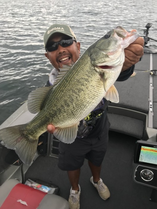 truth  ブログ写真 2019/09/24