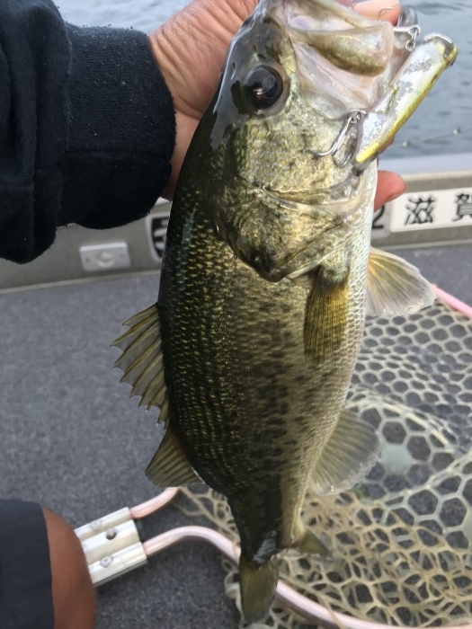 truth  ブログ写真 2019/09/24