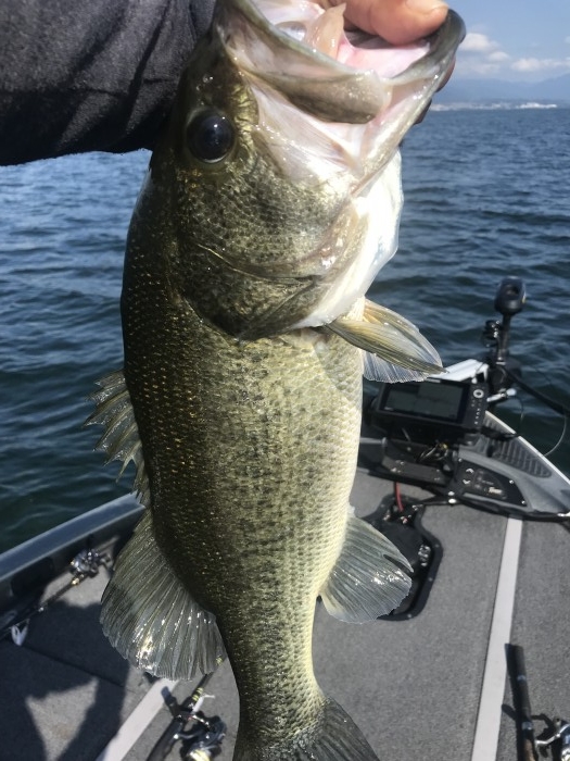 truth  ブログ写真 2019/09/26