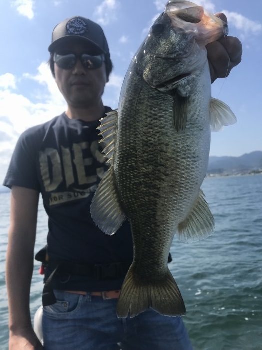 truth  ブログ写真 2019/09/26