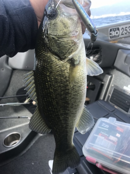 truth  ブログ写真 2019/09/26