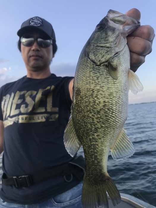 truth  ブログ写真 2019/09/26